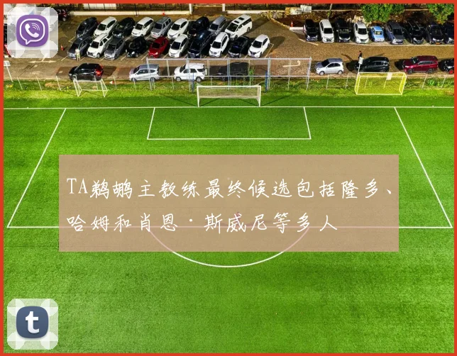 TA鹈鹕主教练最终候选包括隆多、哈姆和肖恩·斯威尼等多人